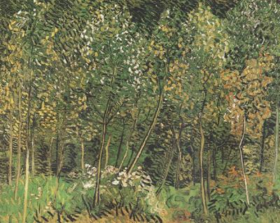 The Grove (nn04), Vincent Van Gogh